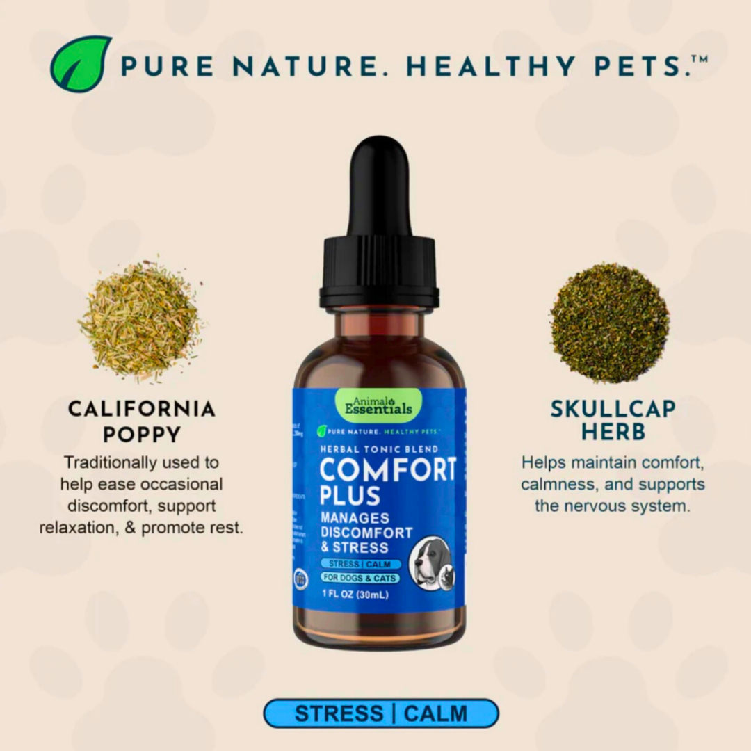 Animal Essentials Comfort Plus | Natural Calming + Pain Relief