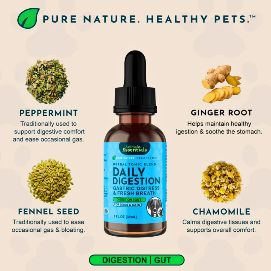 Animal Essentials Daily Digestion | Reflux + Digestive Relief