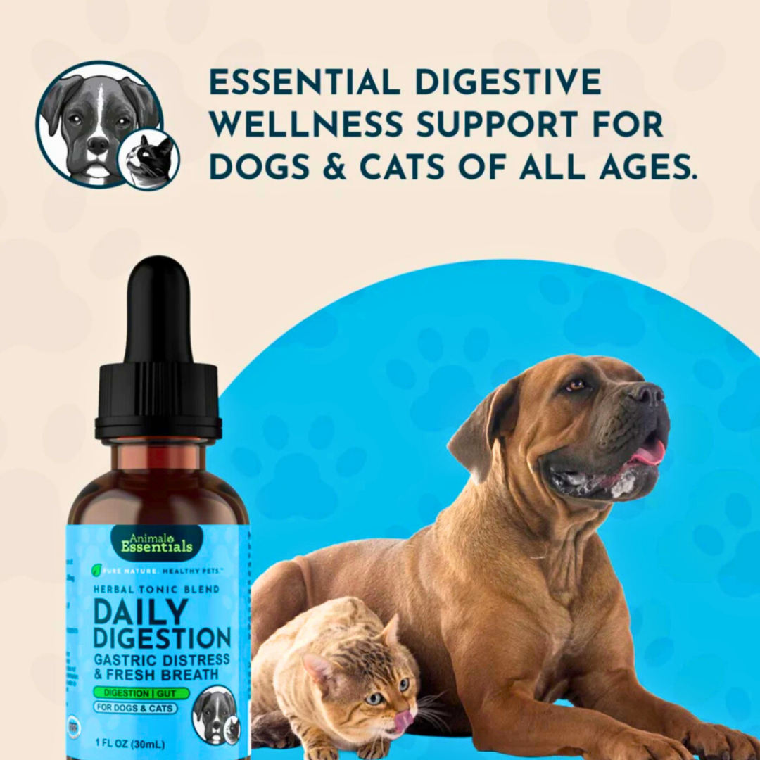 Animal Essentials Daily Digestion | Reflux + Digestive Relief