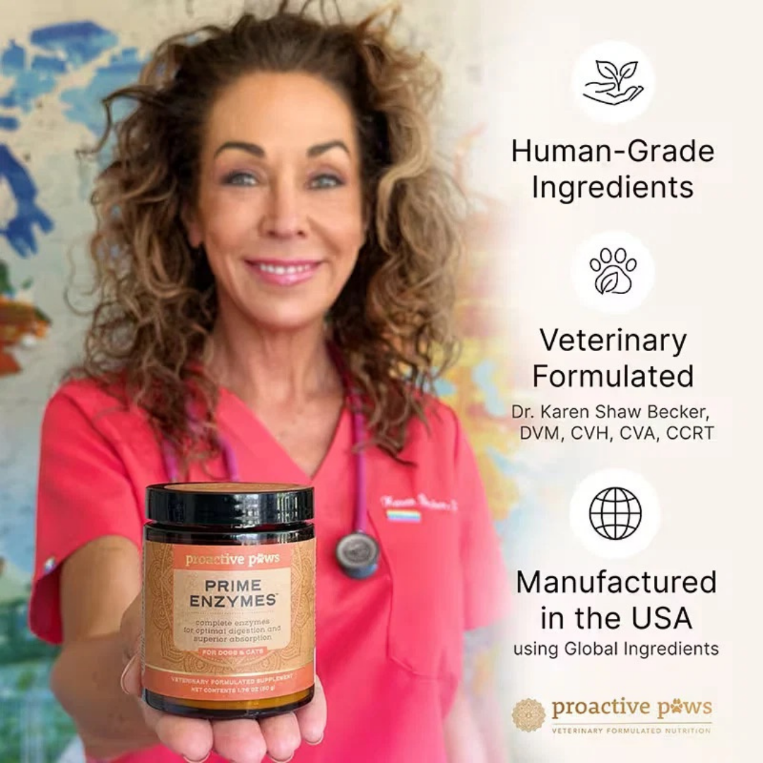 Proactive Paws Prime Enzymes | Natural Full-Spectrum Digestive Enzymes by Dr. Karen Becker