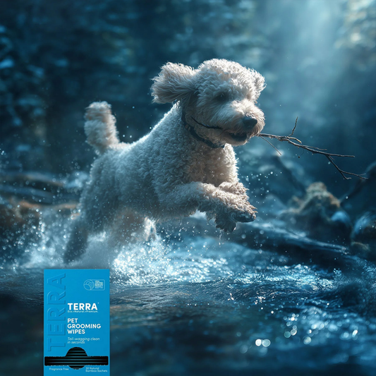 Terra Natural Dog Grooming Wipes | Gentle for Sensitive Skin + Paws