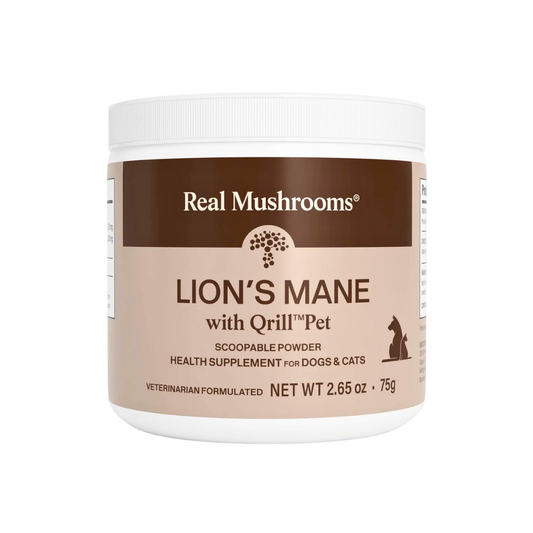 Real Mushrooms Lion’s Mane | Brain + Cognitive Support