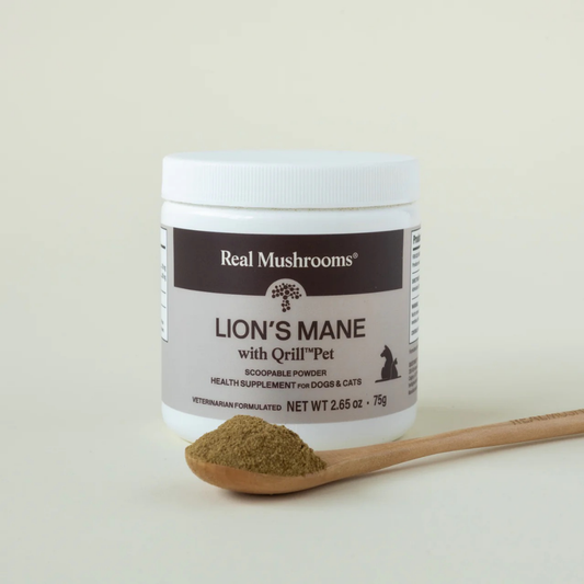 Real Mushrooms Lion’s Mane | Brain + Cognitive Support