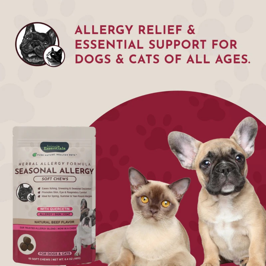 Animal Essentials Seasonal Allergy Soft Chews | Herbal Allergy Support