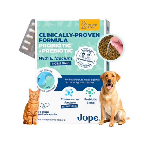 Jope SynBiotic GB-01 Gut Balance | Vet-Formulated Single-Strain Probiotic + Prebiotic