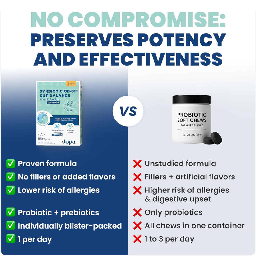 Jope Synbiotic GB-01 Probiotic | Gut Balance + Digestive Support