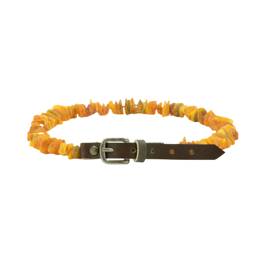 Baltic Essentials Amber Flea & Tick Collar | Non-Toxic Pest Protection