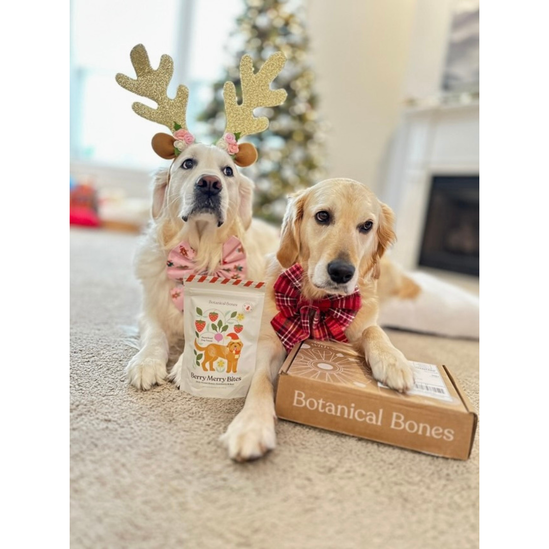 Botanical Bones Berry Merry Bites