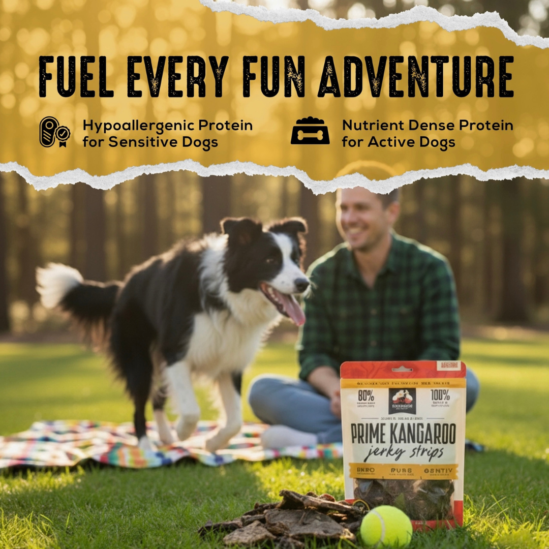 Outback Bones Kangaroo Jerky Strips