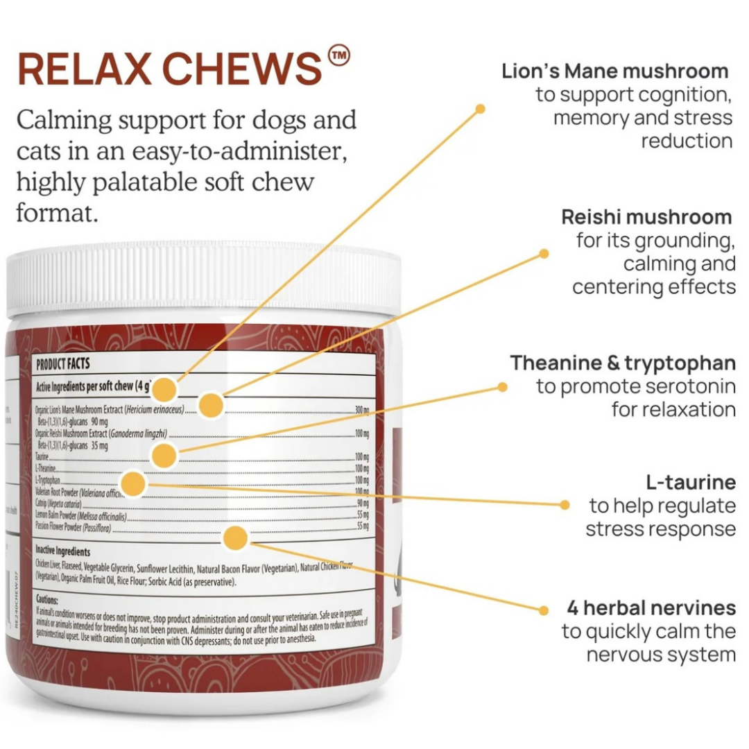 Real Mushrooms Relax Chews