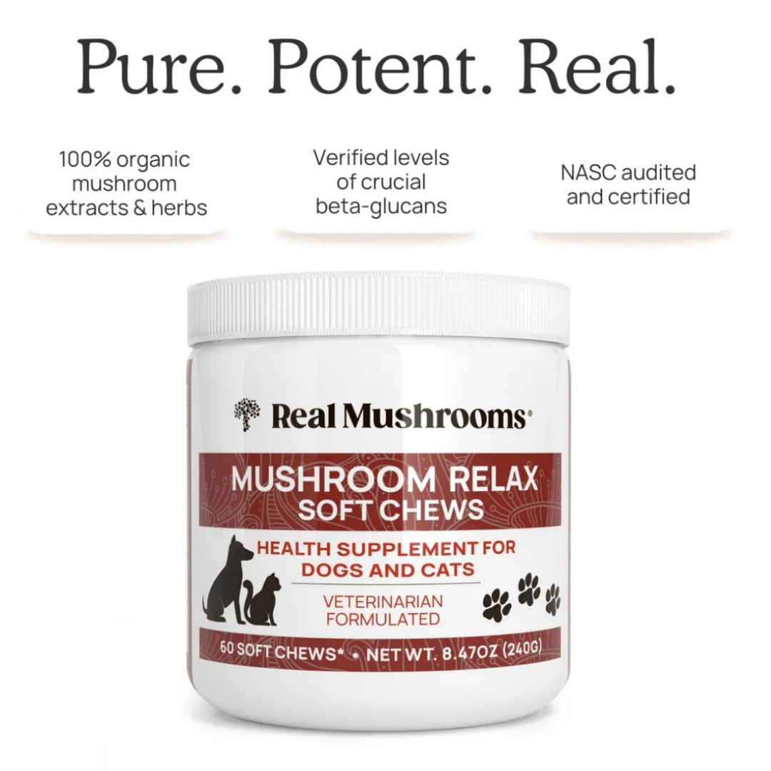Real Mushrooms Relax Chews
