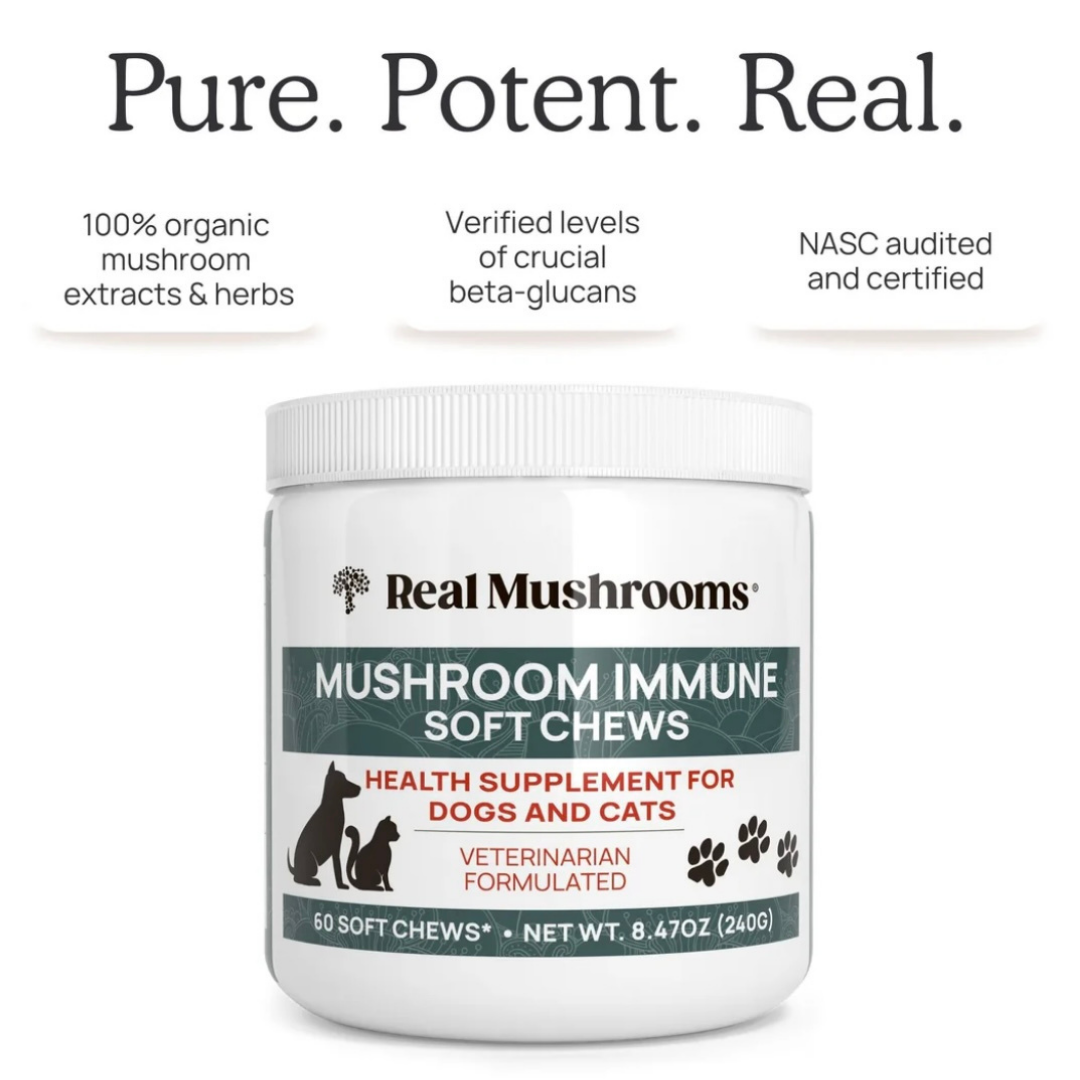 Real Mushrooms Immune Chews