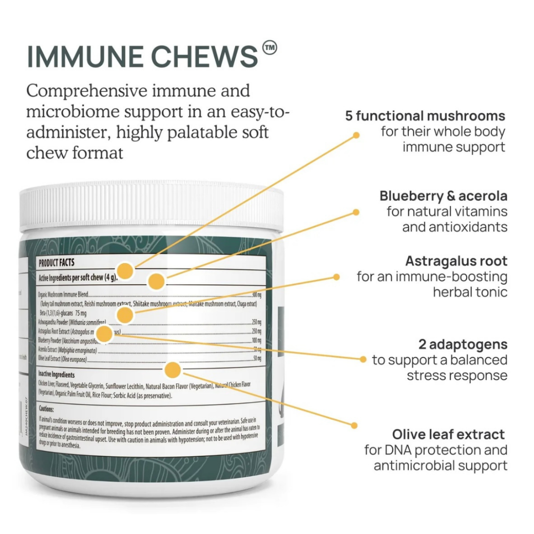 Real Mushrooms Immune Chews