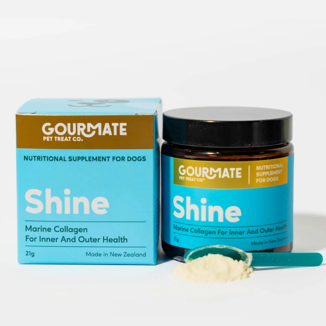 Gourmate Shine | Marine Collagen