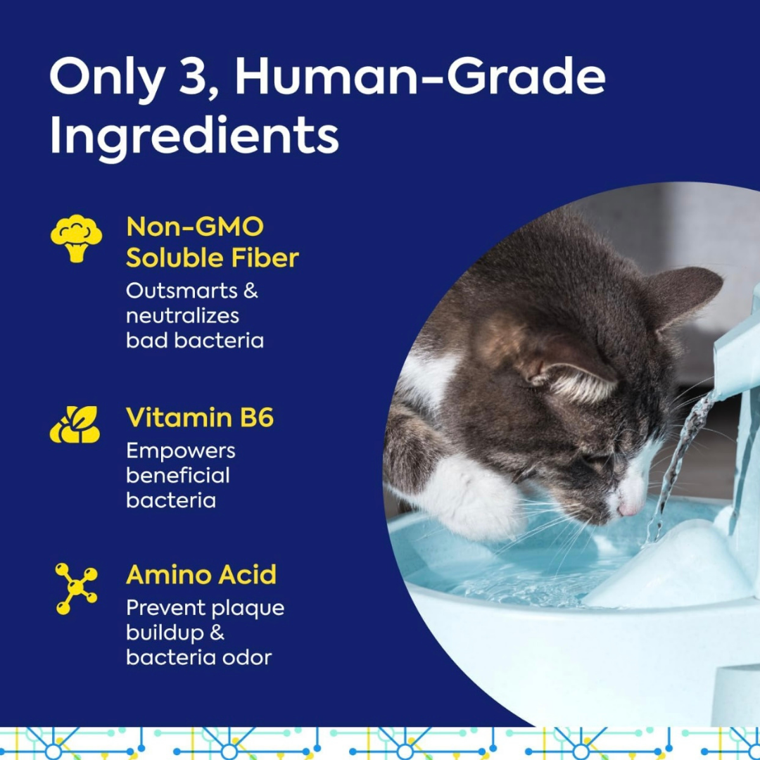 TEEF for Life Protektin42 | Refill Powder Packet