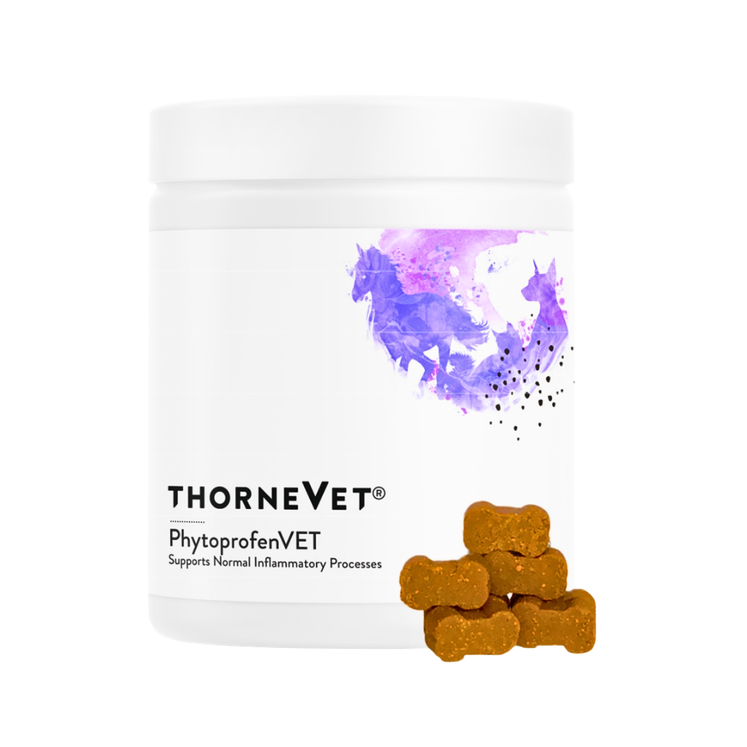 ThorneVet Phytoprofen Chews | Natural Pain & Inflammation Relief