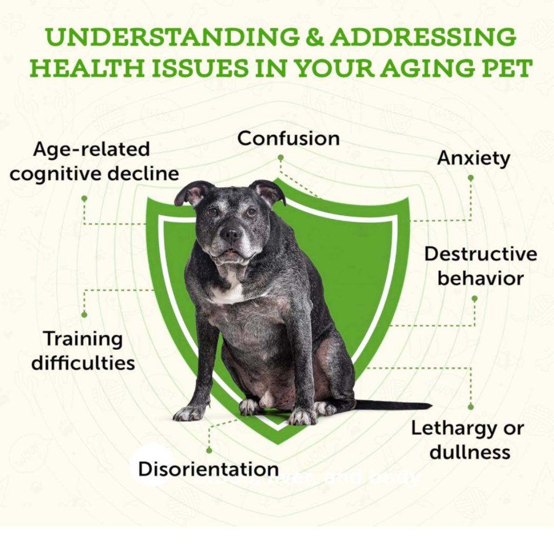 Animal Essentials Brain Awake | Natural Cognitive + Nerve Support
