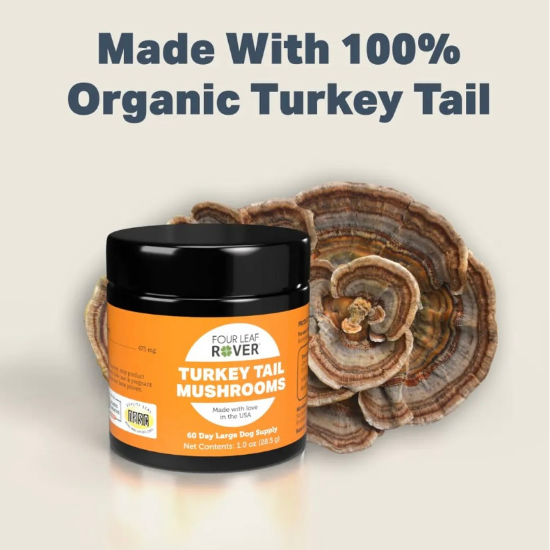 Four Leaf Rover Organic Turkey Tail Mushrooms