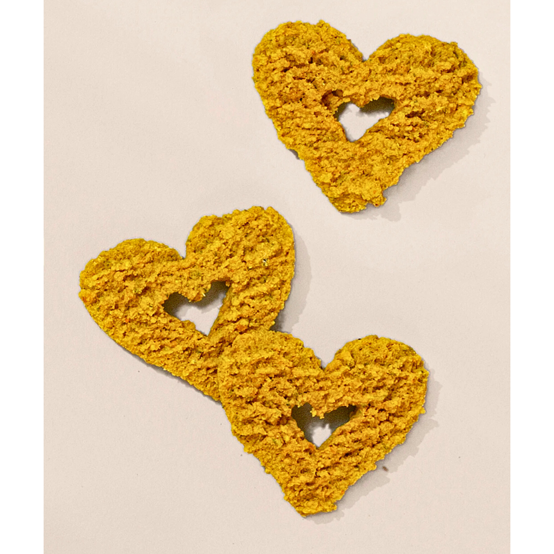 Gogoma Treats Turmeric + Anchovy | Healthy Joints