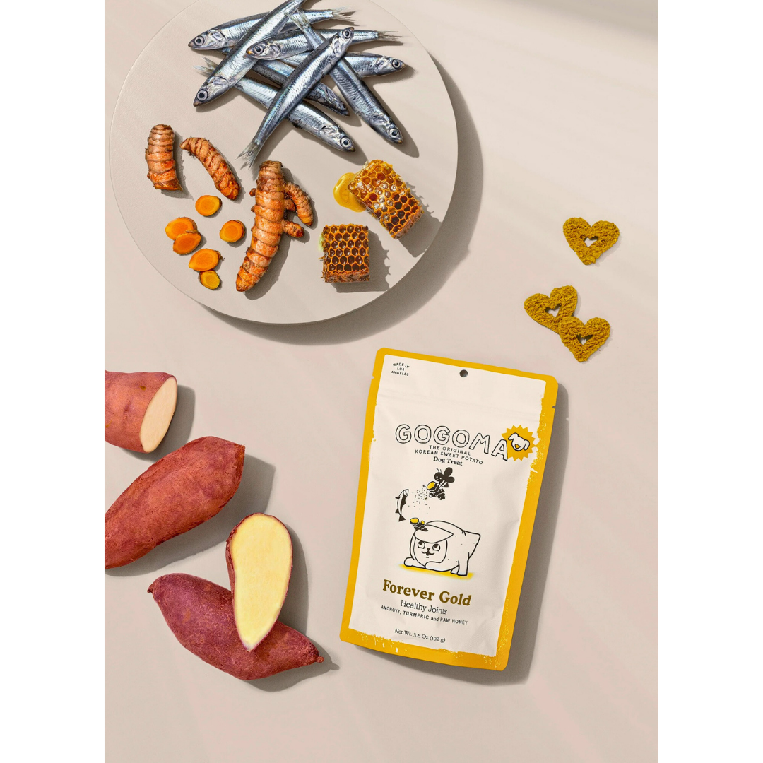 Gogoma Treats Turmeric + Anchovy | Healthy Joints