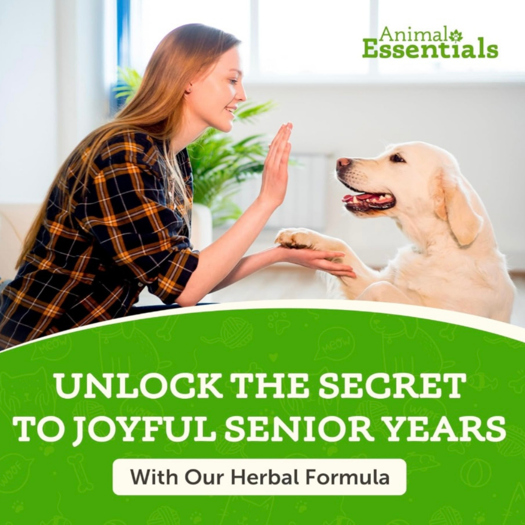 Animal Essentials Senior Support | Natural Aging Support
