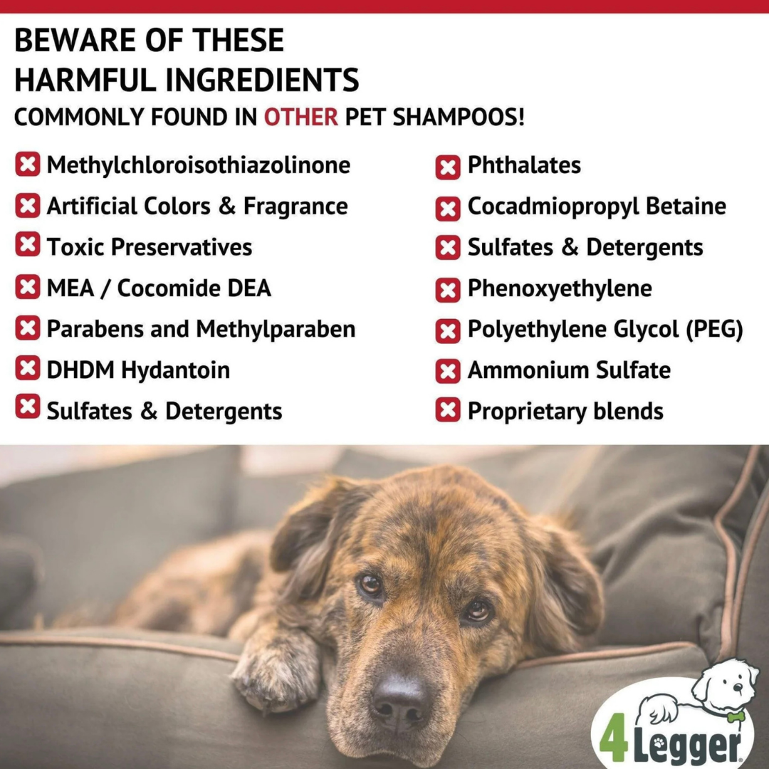 4-Legger Organic Shampoo Moisturize | Lemongrass