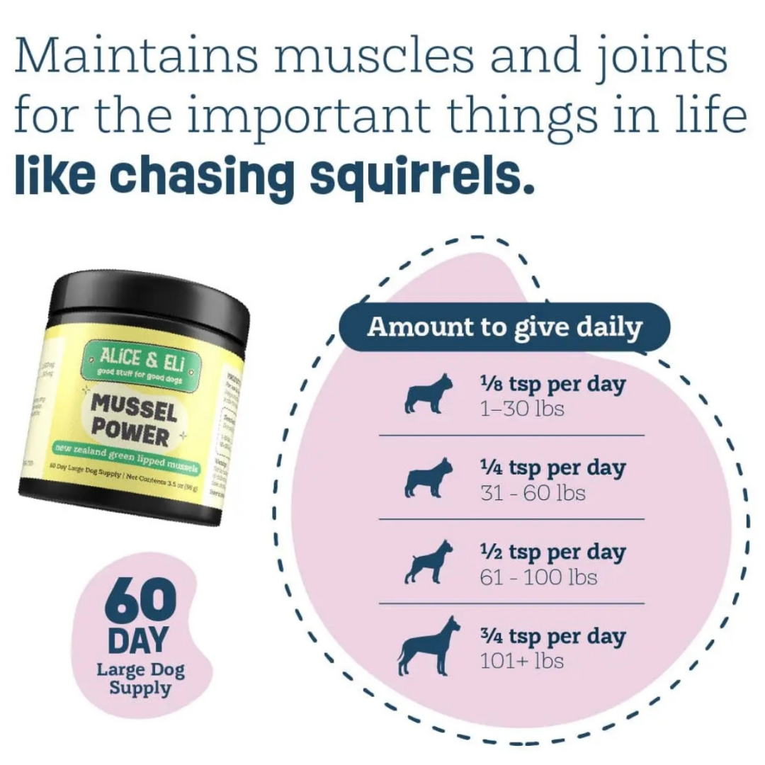 Alice & Eli Green Lipped Mussel Powder | Joint + Anti-Inflammatory Support