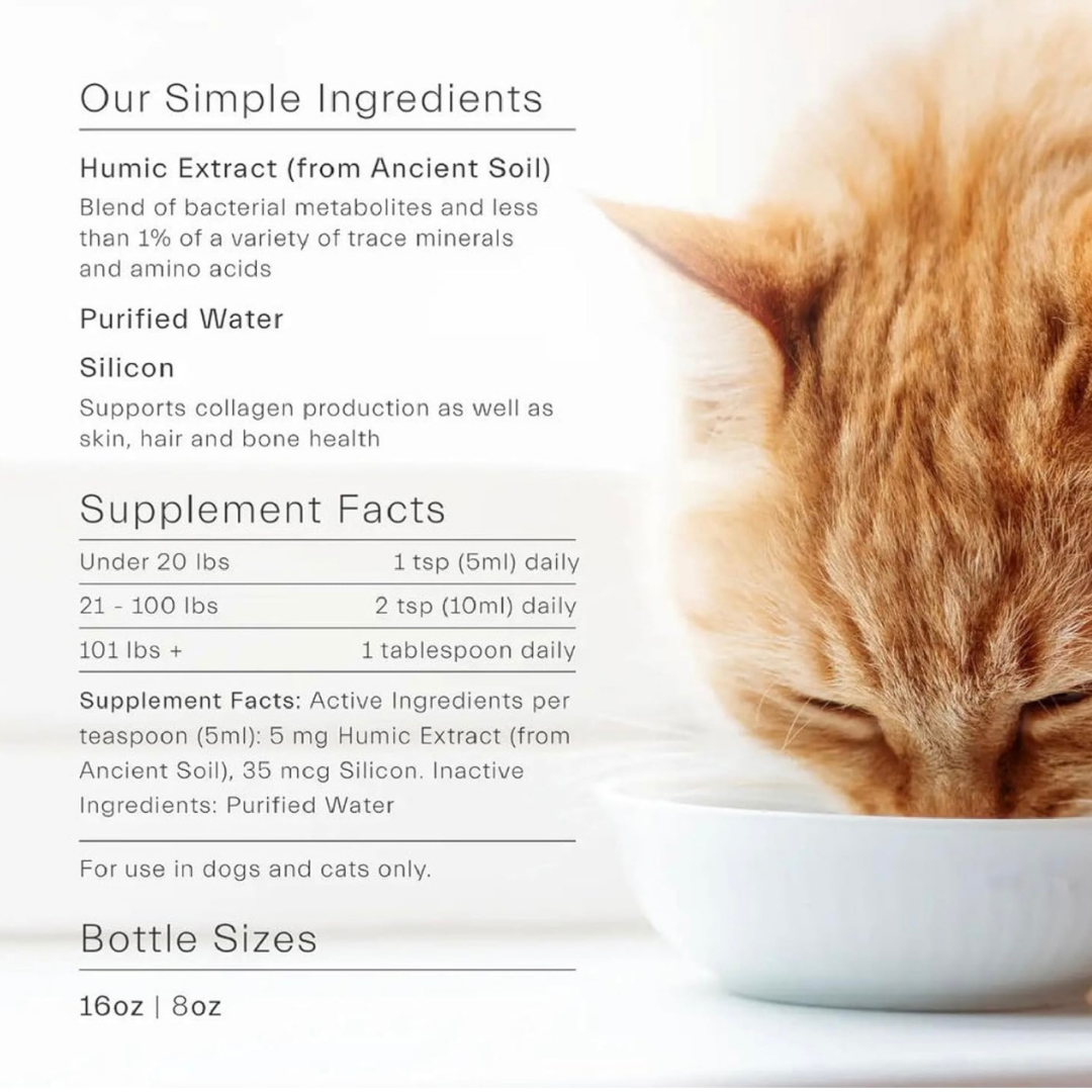 ION* | Soil-Derived Supplement for Gut Health + Toxin Defense + Nutrient Absorption