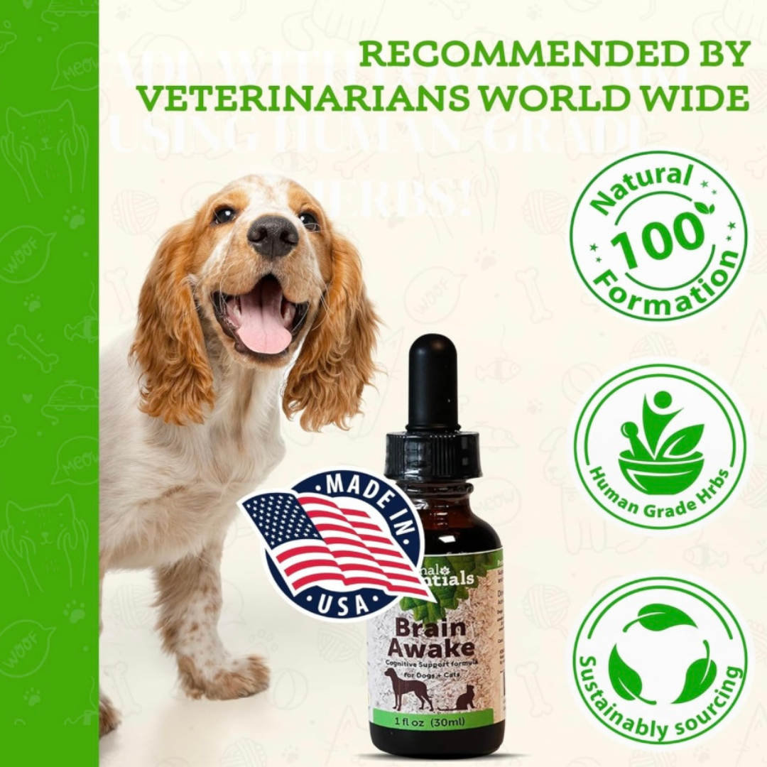Animal Essentials Brain Awake | Natural Cognitive + Nerve Support