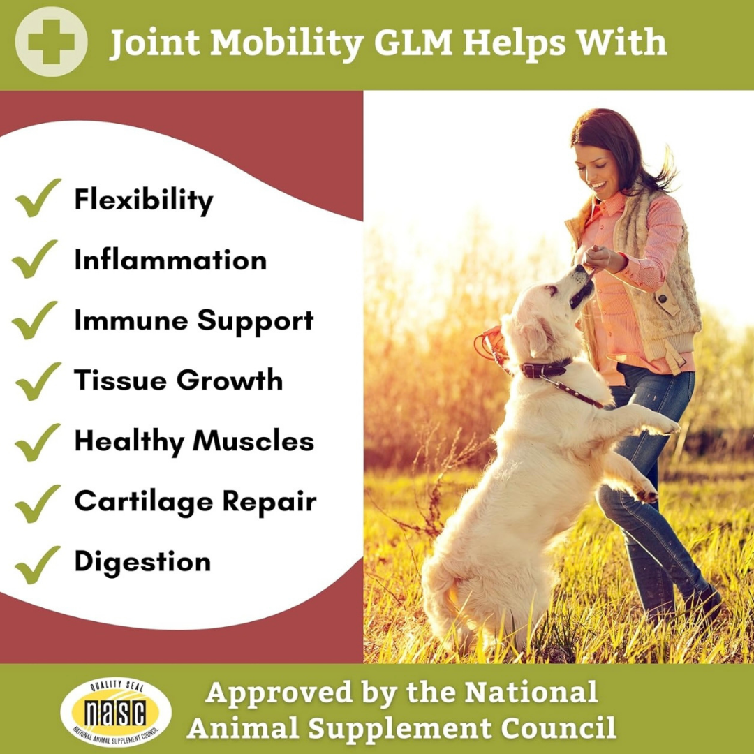 Wholistic Pet Organics Joint Mobility GLM | Multivitamin + Joint Support + Green Lipped Mussels