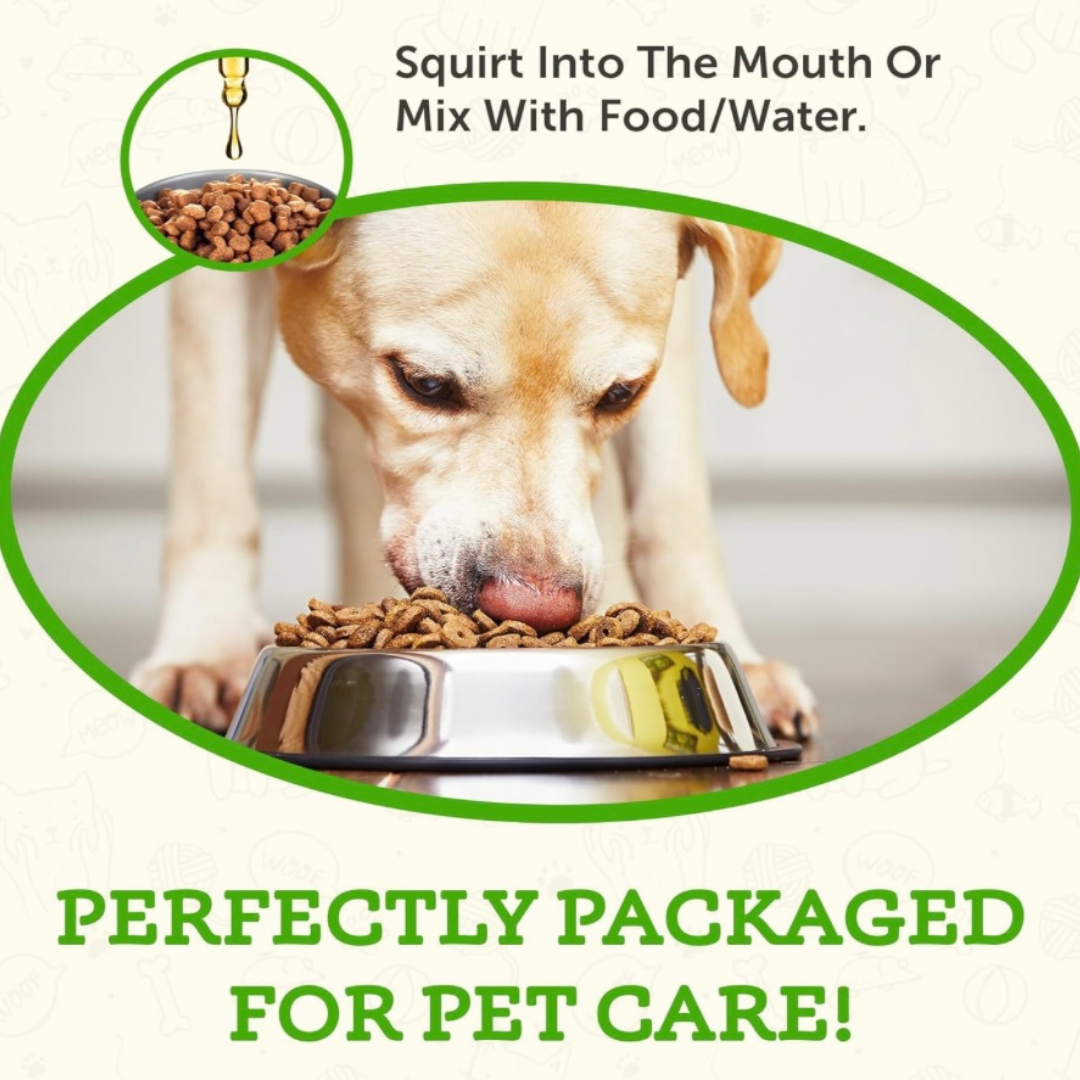 Animal Essentials Senior Support | Natural Aging Support