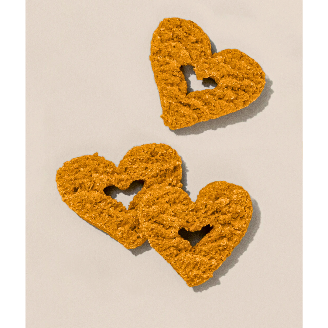 Gogoma Treats Peanut Butter + Pumpkin | Healthy Digestion