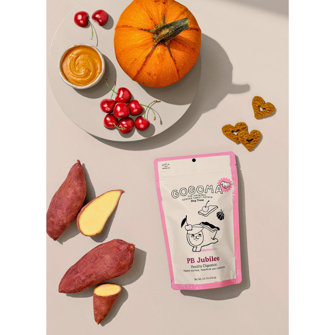 Gogoma Treats Peanut Butter + Pumpkin | Healthy Digestion