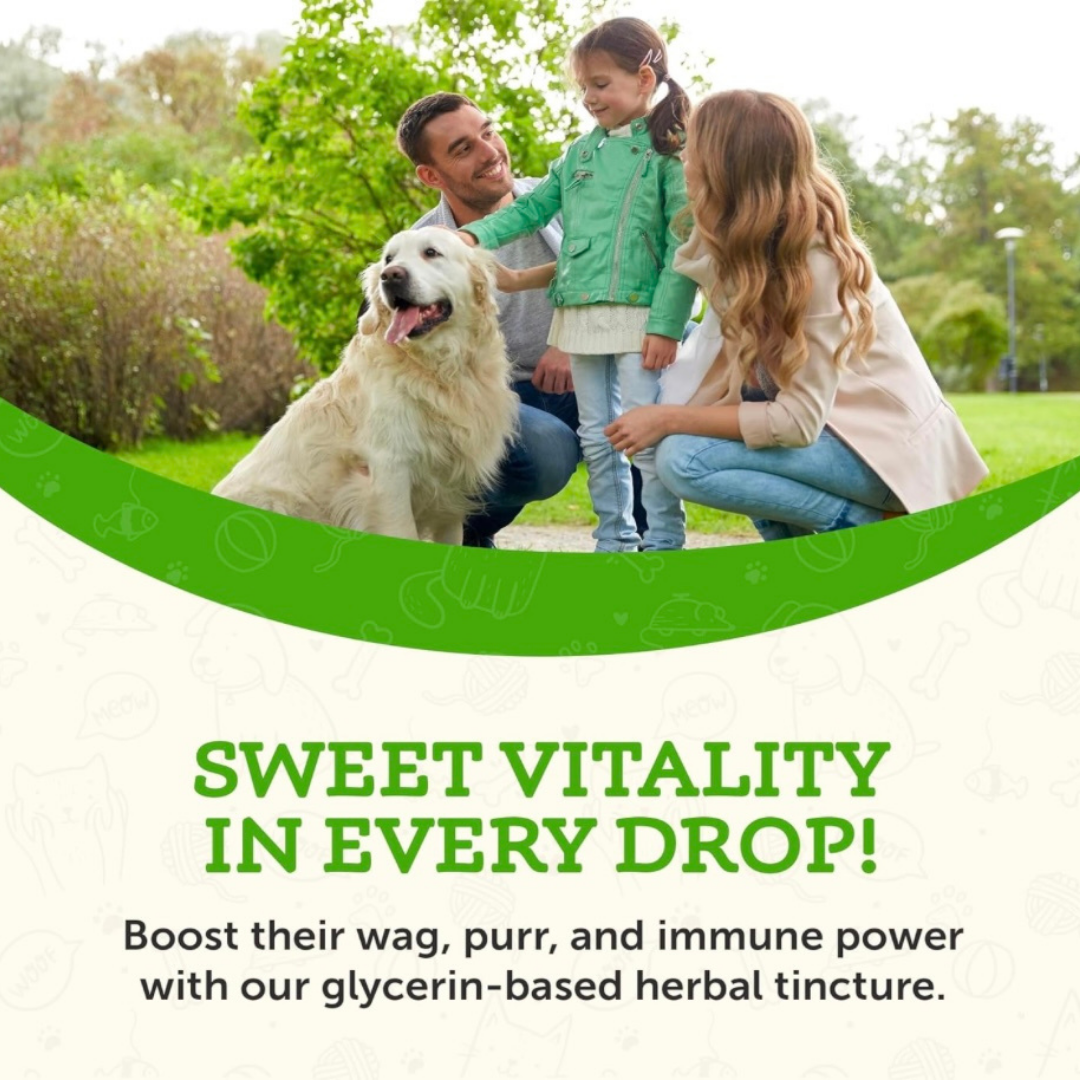 Animal Essentials Super Immune | Comprehensive Immune + Wellness Boost