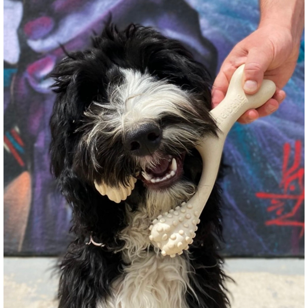 BetterBone Natural Dog Chew | Soft