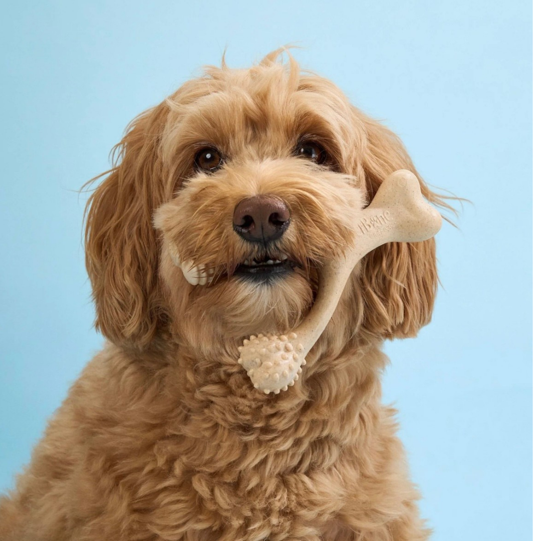 BetterBone Natural Dog Chew | Soft