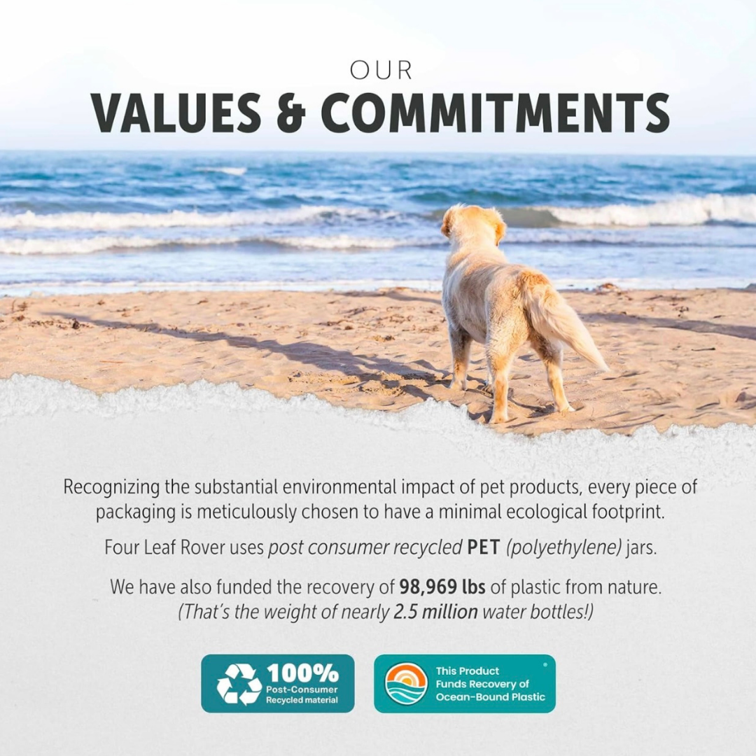 Four Leaf Rover Seven 'Shrooms | Organic Mushroom Blend for Immune Support