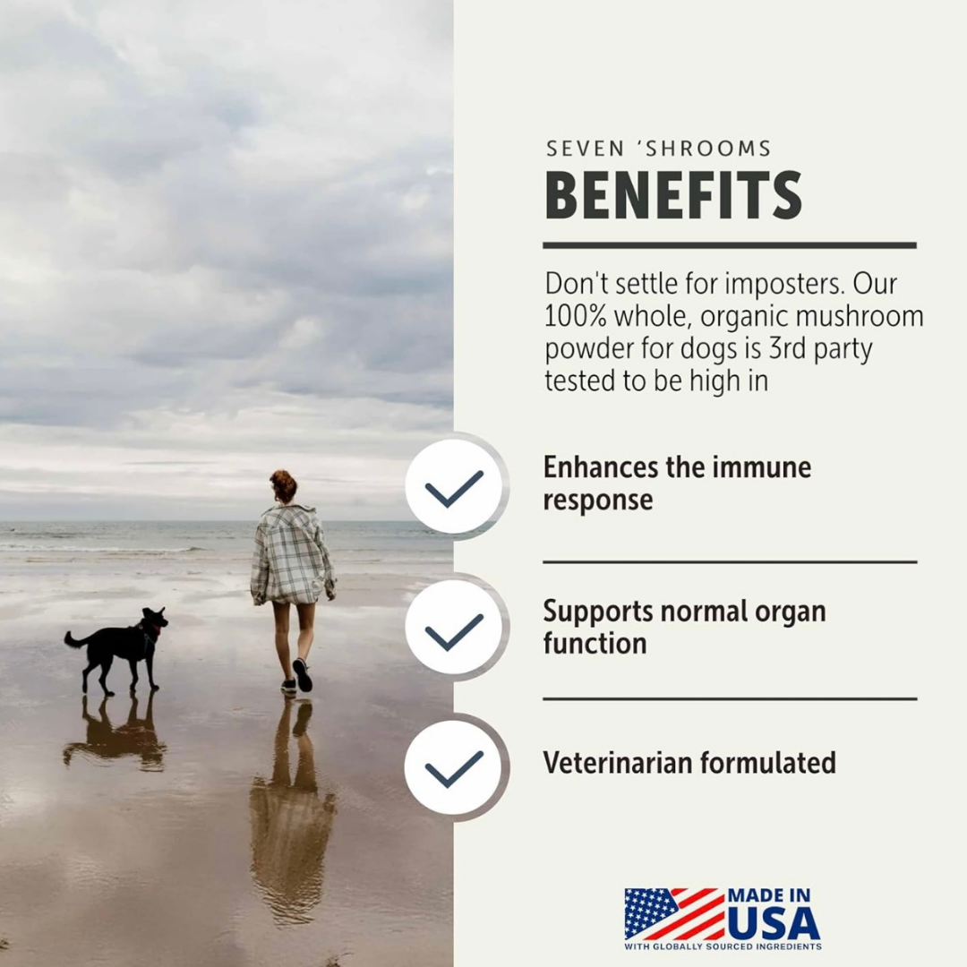Four Leaf Rover Seven 'Shrooms | Organic Mushroom Blend for Immune Support