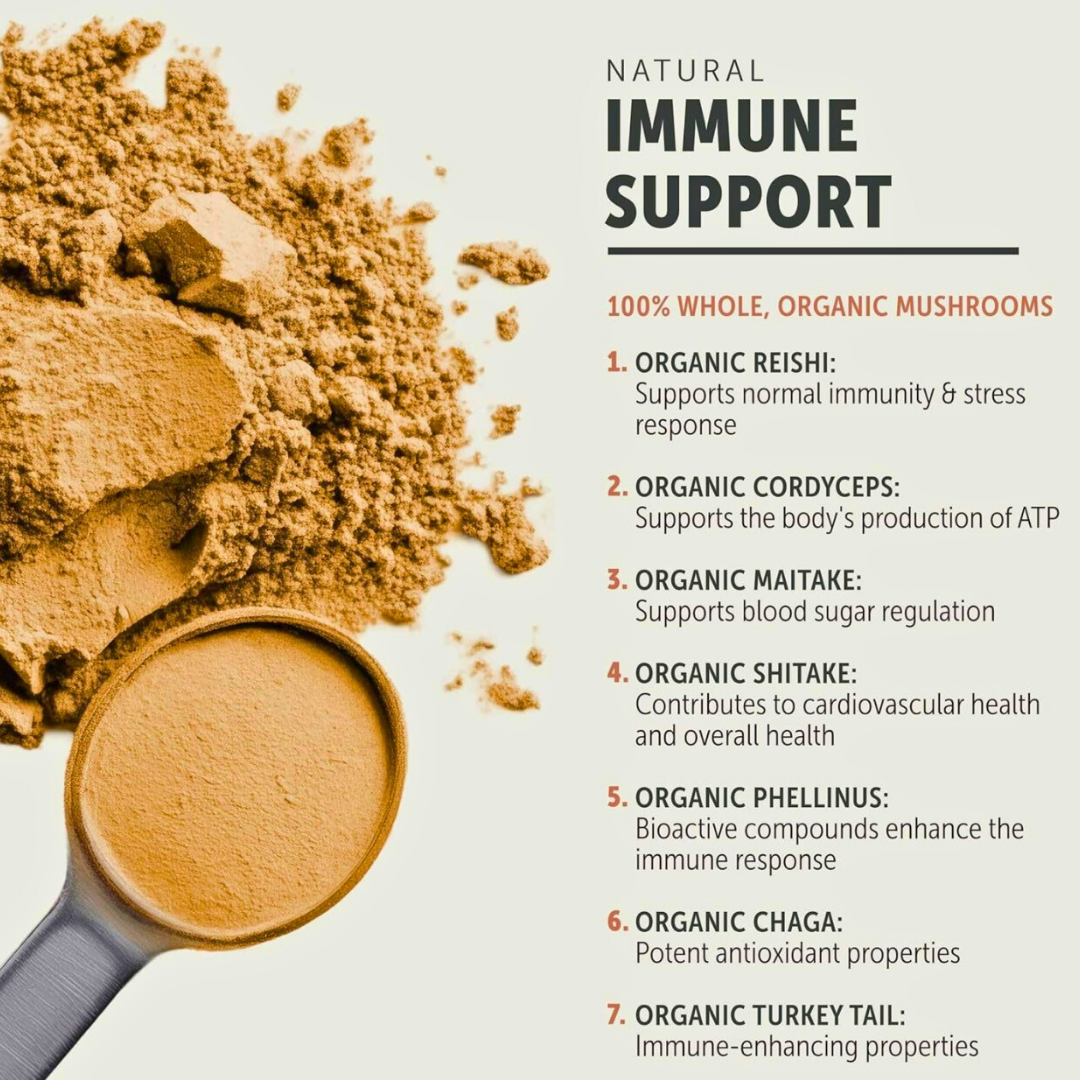 Four Leaf Rover Seven 'Shrooms | Organic Mushroom Blend for Immune Support