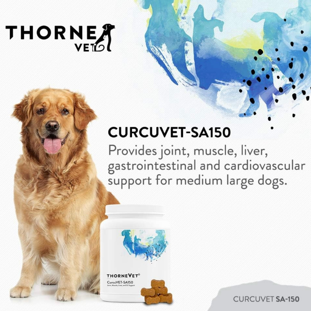 ThorneVet CurcuVET | Natural Inflammation Support + Joint Health