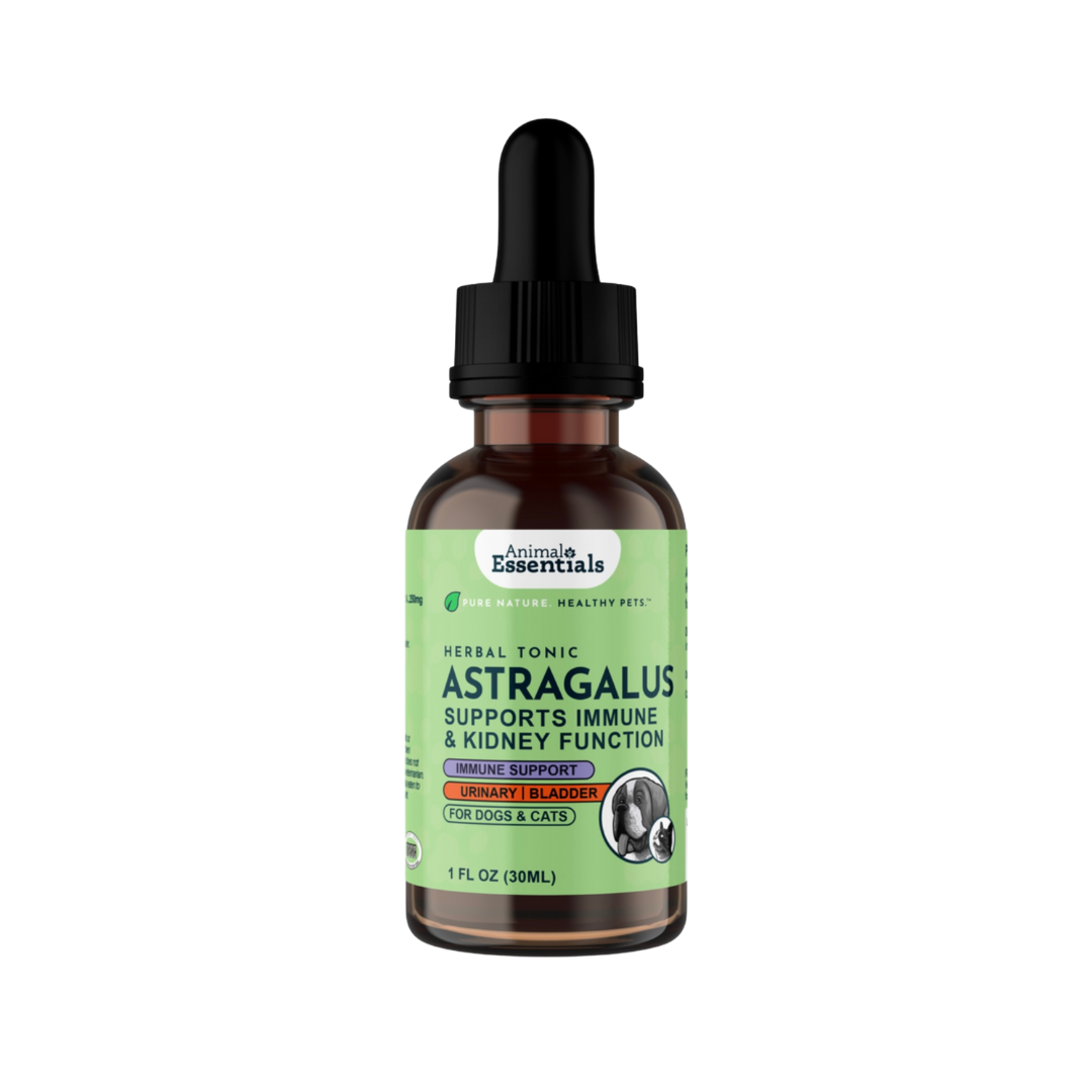 Animal Essentials Astragalus | Immune Support + Kidney Function