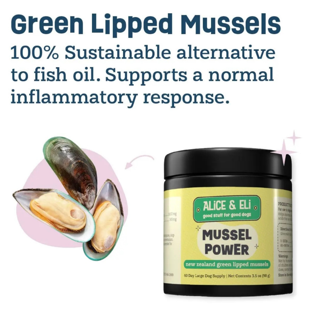 Alice & Eli Green Lipped Mussel Powder | Joint + Anti-Inflammatory Support