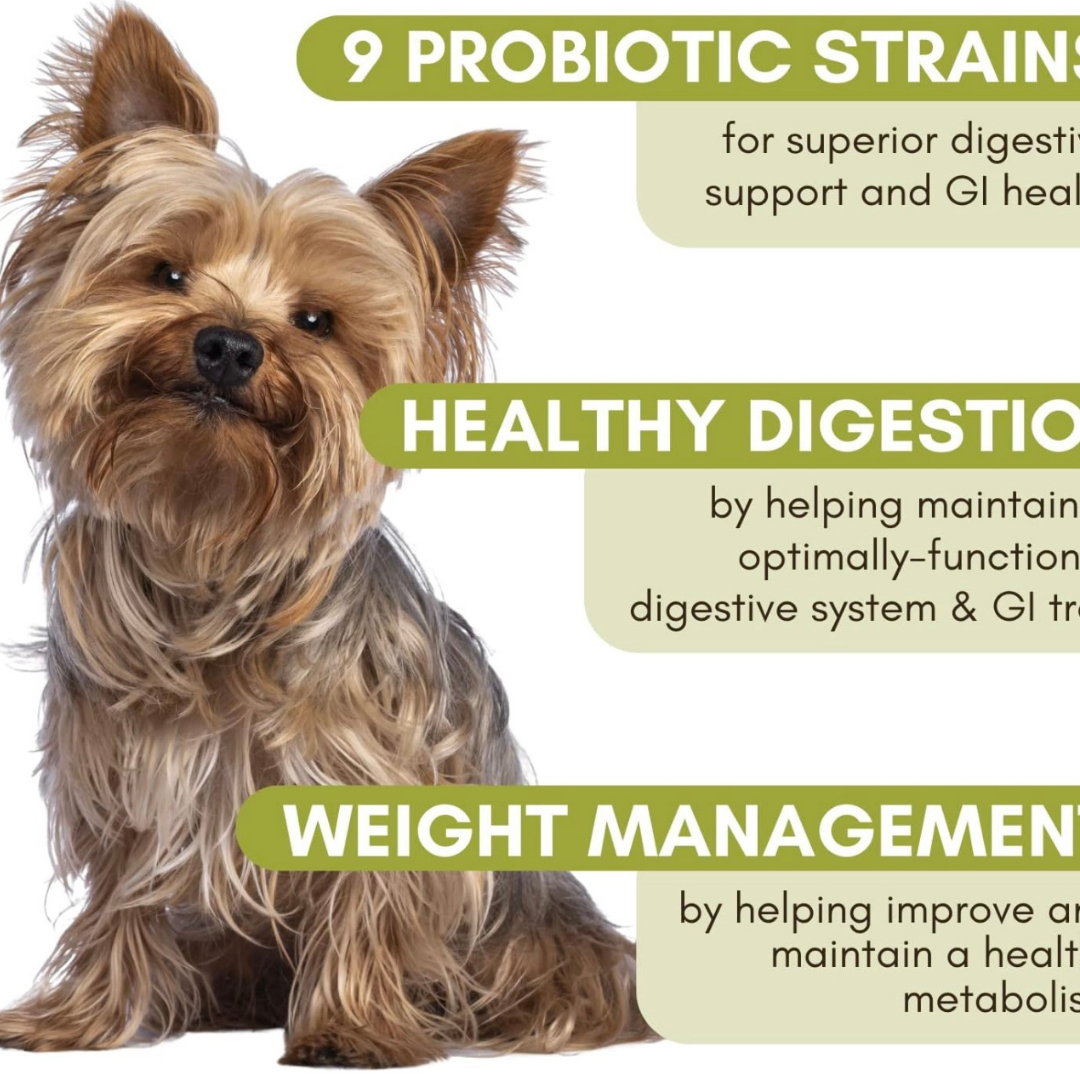 Wholistic Pet Organics WholeBiotics | Pre + Probiotics