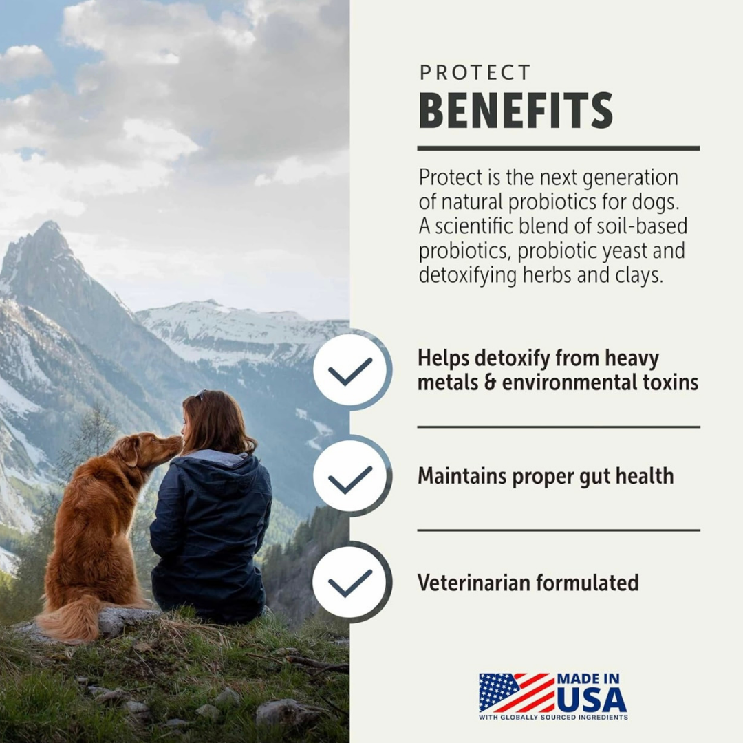 Four Leaf Rover Protect | Soil Based Probiotics + Detox Support