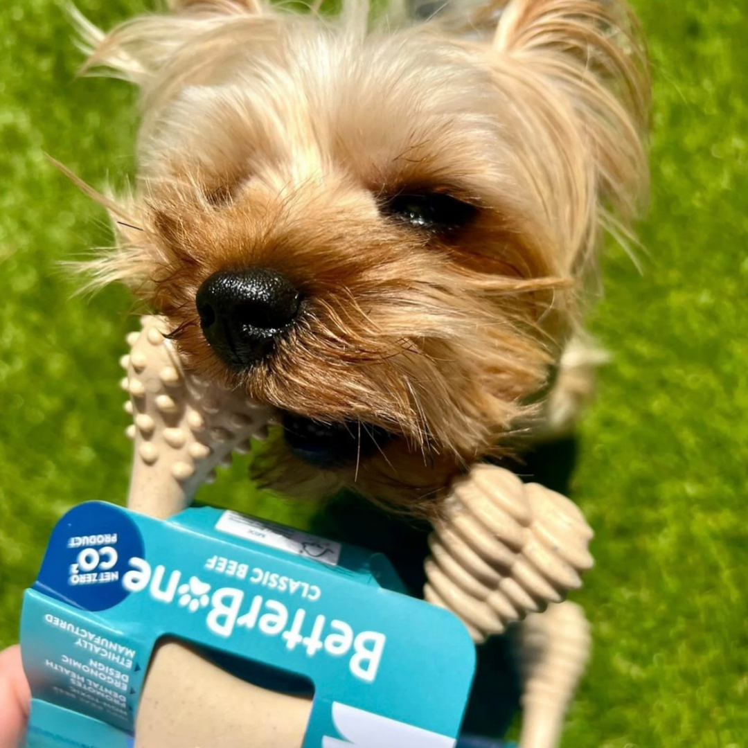 BetterBone Natural Dog Chew | Soft