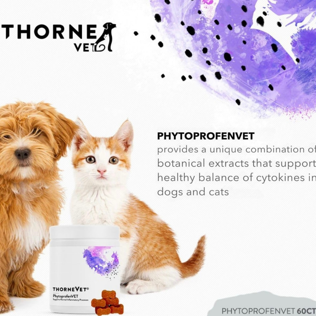 ThorneVet Phytoprofen Chews | Natural Pain & Inflammation Relief