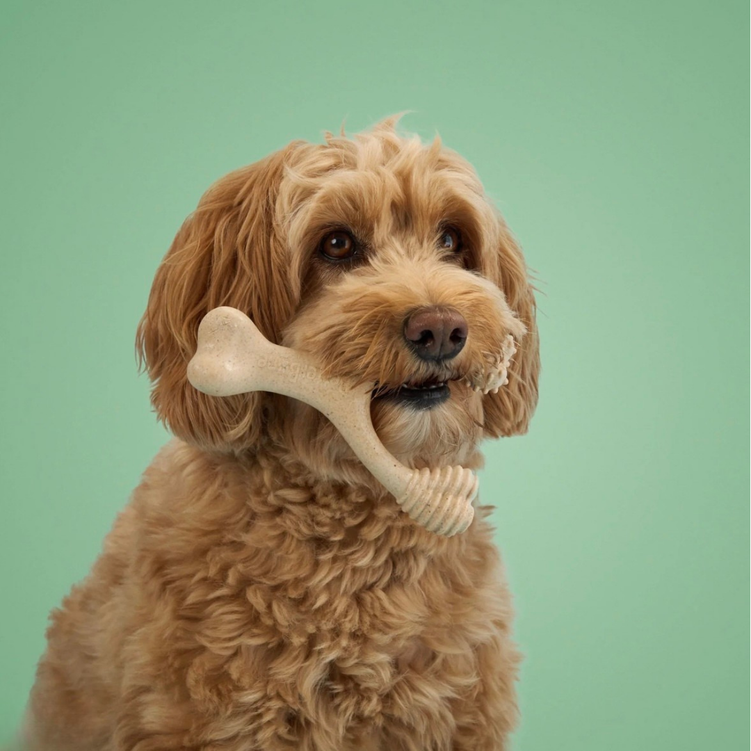 BetterBone Natural Dog Chew | Medium