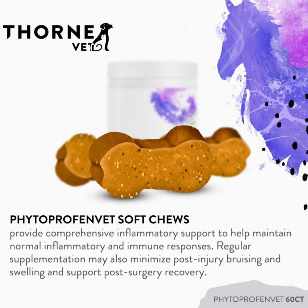 ThorneVet Phytoprofen Chews | Natural Pain & Inflammation Relief