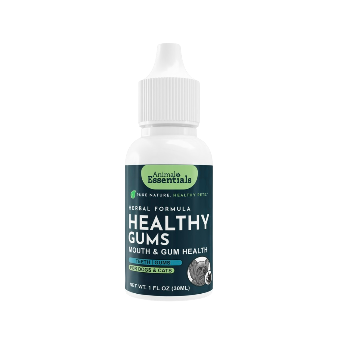 Animal Essentials Healthy Gums | Natural Gum + Dental Support