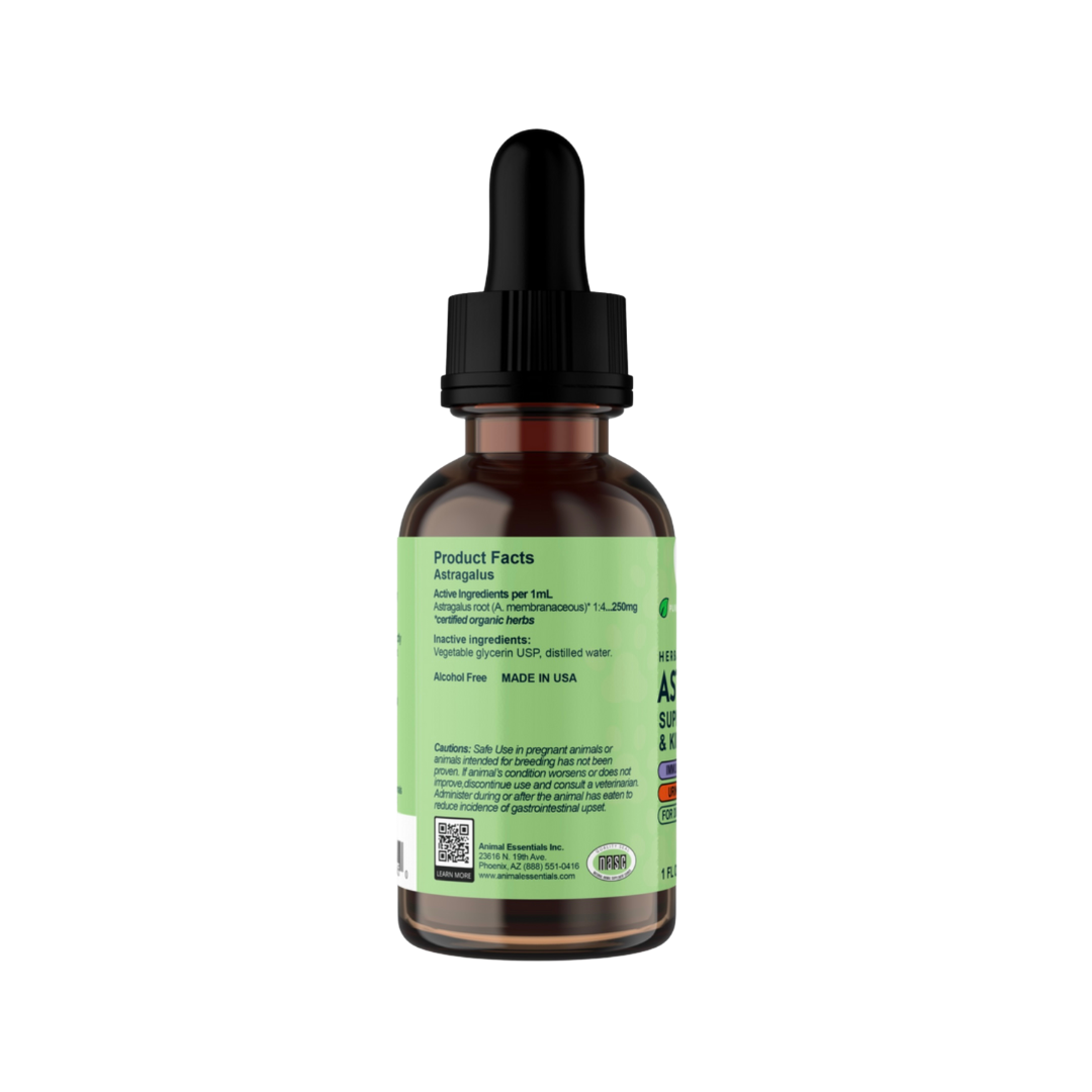 Animal Essentials Astragalus | Immune Support + Kidney Function